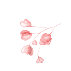 16 flower watercolor reflect.png